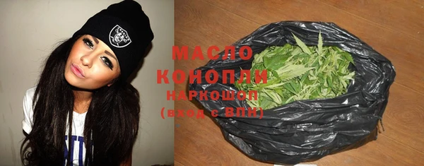 дмт Пестово