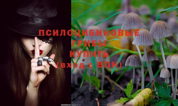 2c-b Абаза