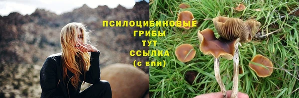 дживик Абинск