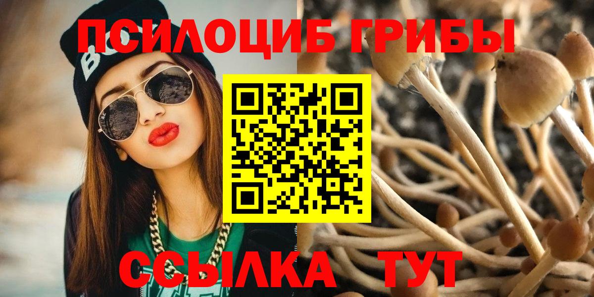 Меф кристаллы  Вход с VPN  ГАШИШ  Алейск  ГАШ  Конопля  Мефедрон  Купить наркоту  МДМА 
