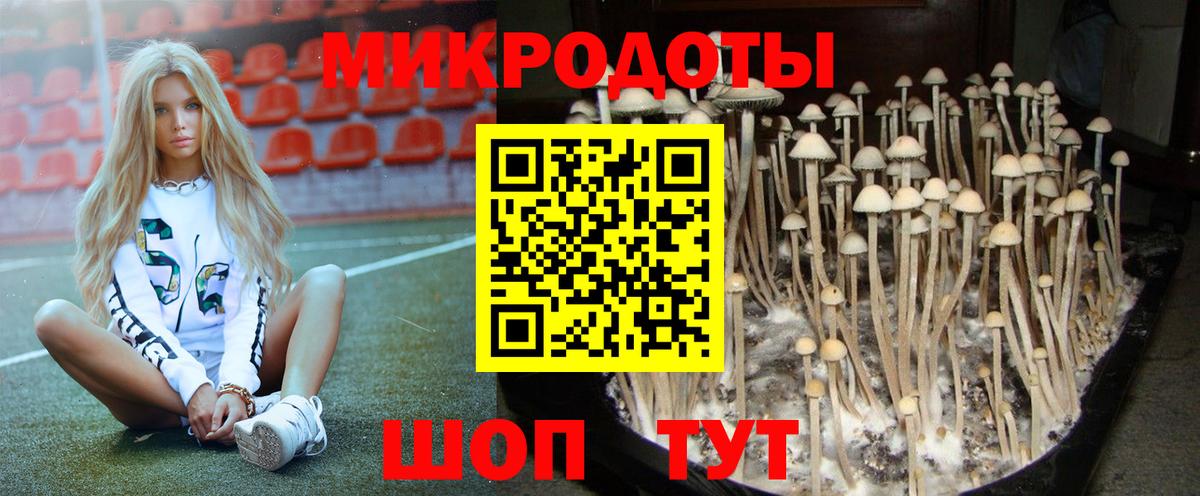 Галлюциногенные грибы ЛСД Алейск