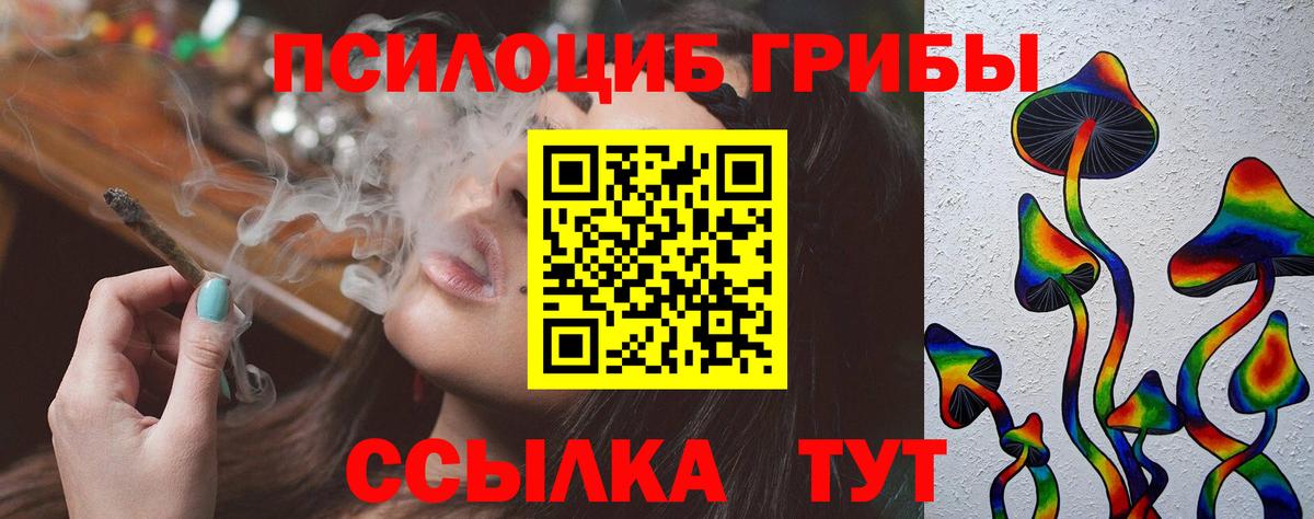 как найти наркотики  Псилоцибиновые грибы Magic Shrooms  Вход с VPN  Псилоцибиновые грибы MAGIC MUSHROOMS  Алейск 